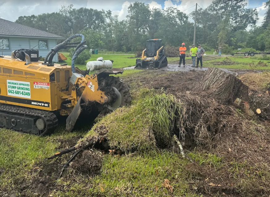 Stump Grinding in Columbus, MS