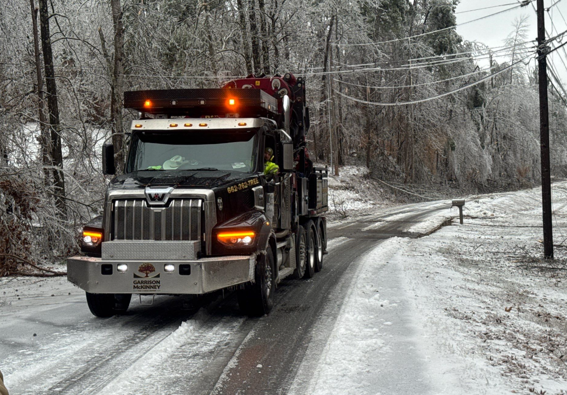 Lot Cleanup & Debris Hauling in Columbus, MS