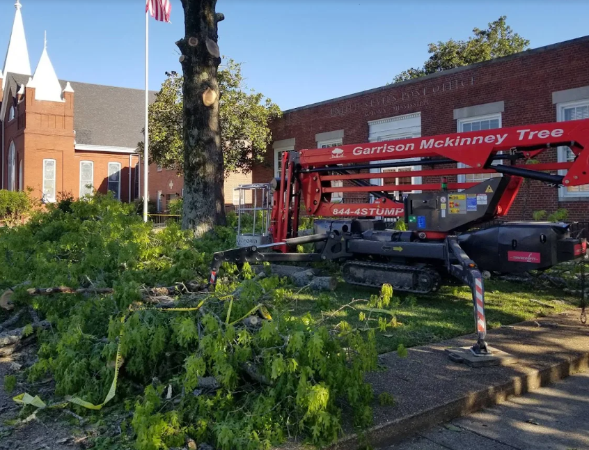 Tree Trimming & Pruning in Columbus, MS