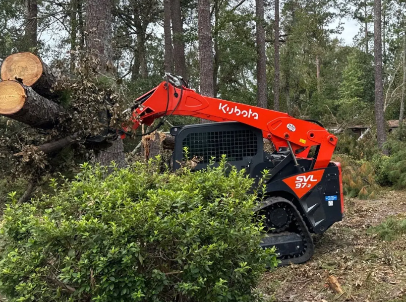 Land Clearing & Forestry Mulching in Columbus, MS