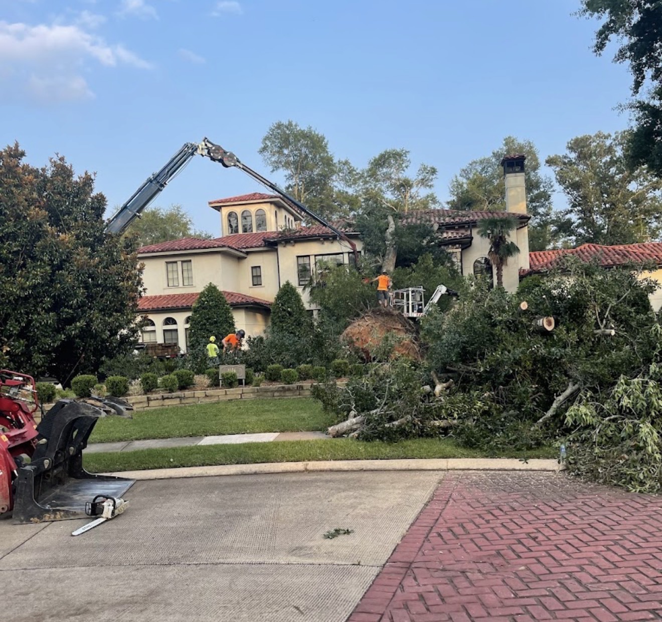 Columbus Tree crane crew removing a large tree in Columbus, Mississippi